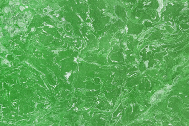 Similar image 22444309