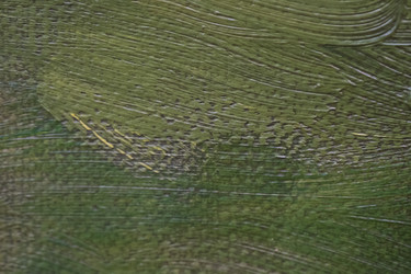 Similar image 22440273