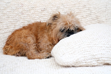 Similar image 22440288