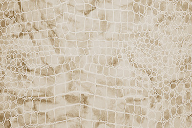 Similar image 22444345