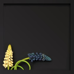 Similar image 22444435