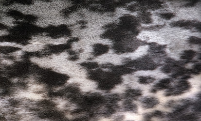 Similar image 22440305