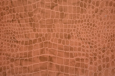 Similar image 22440334