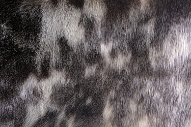 Similar image 22440355