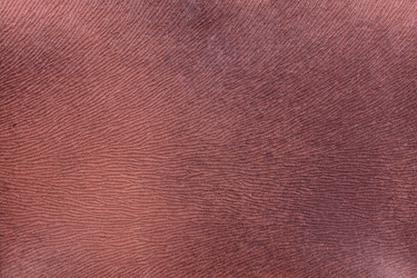 Similar image 22440391