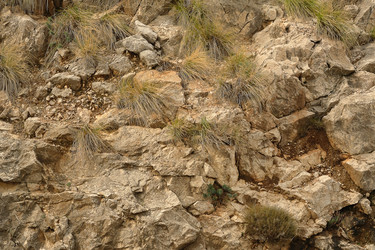 Similar image 22444442