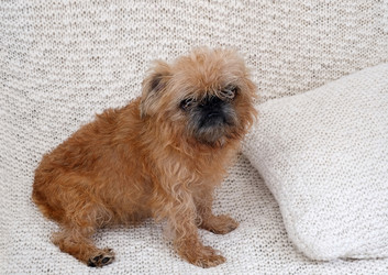 Similar image 22444565