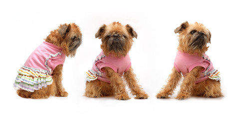 Similar image 22445870