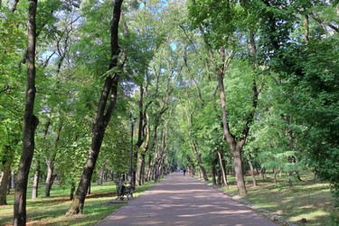 Similar image 22436086