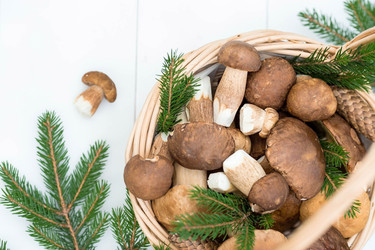 Similar image 22436042