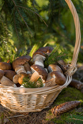 Similar image 22436045