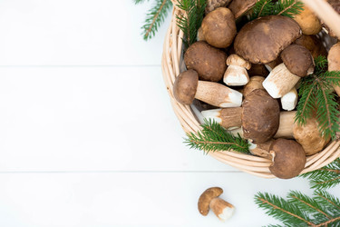 Similar image 22436046