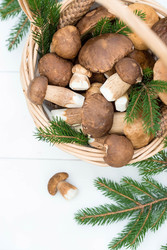 Similar image 22436047