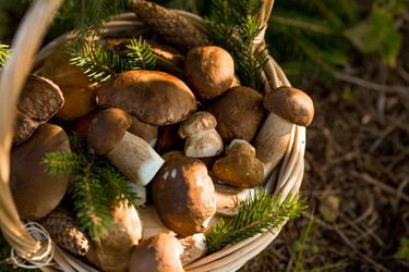 Similar image 22436048