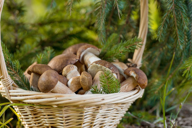 Similar image 22436049