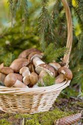 Similar image 22436051