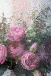 Similar image 22436052