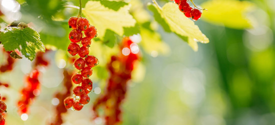 Similar image 22436053