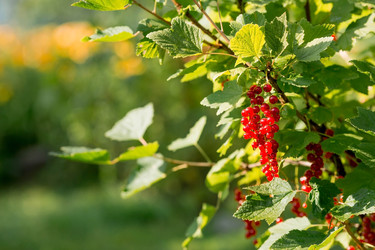 Similar image 22439162