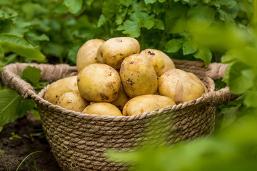 Similar image 22439163