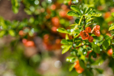 Similar image 22439165