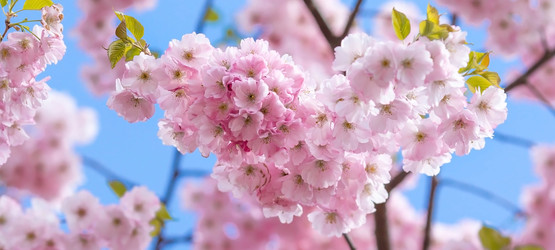 Similar image 22439170