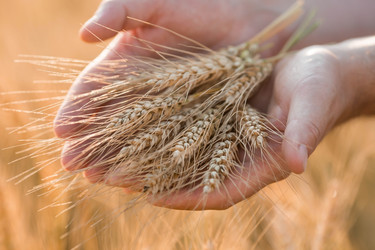 Similar image 22439174