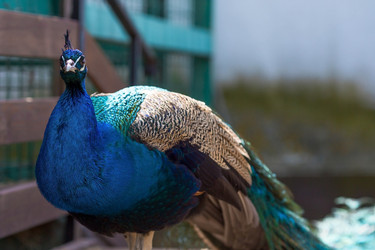 Similar image 22439175