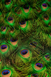 Similar image 22439176