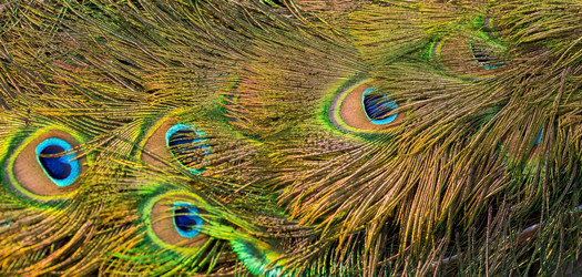 Similar image 22439177