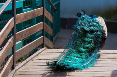 Similar image 22439186