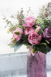 Similar image 22439192