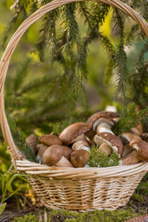 Similar image 22439195