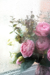 Similar image 22439199