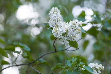 Similar image 22439203