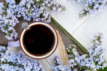 Similar image 22439204