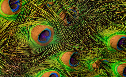 Similar image 22439205