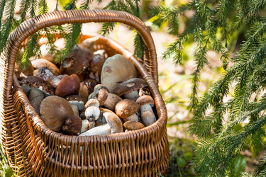 Similar image 22439208