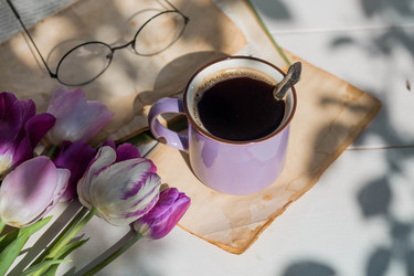 Similar image 22439212