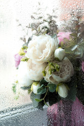 Similar image 22439214