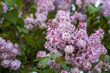 Similar image 22439222