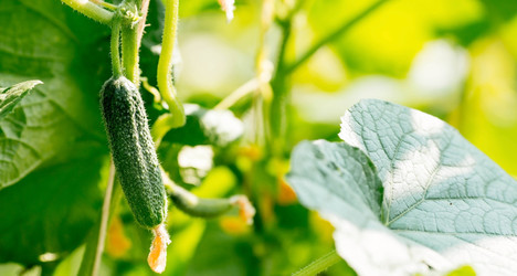 Similar image 22439223