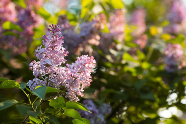 Similar image 22439227