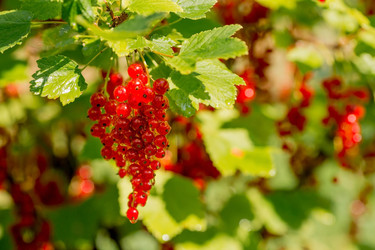 Similar image 22439232