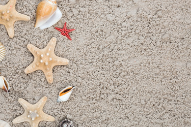 Similar image 22439233