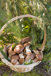 Similar image 22439235