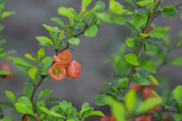 Similar image 22439236