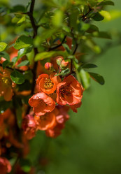 Similar image 22439238