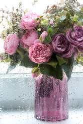 Similar image 22439239