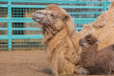 Similar image 22439241